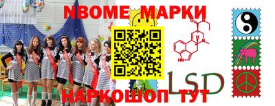 стаф Можга
