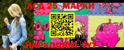 стаф Можга