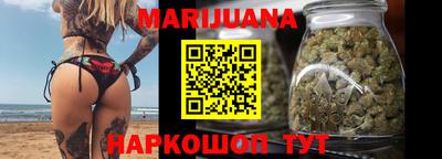 стаф Можга