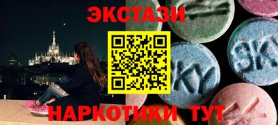 стаф Можга