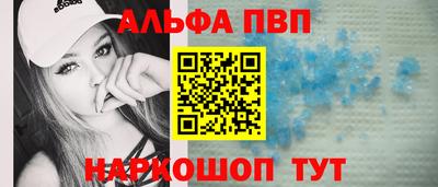 стаф Можга