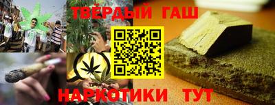 стаф Можга