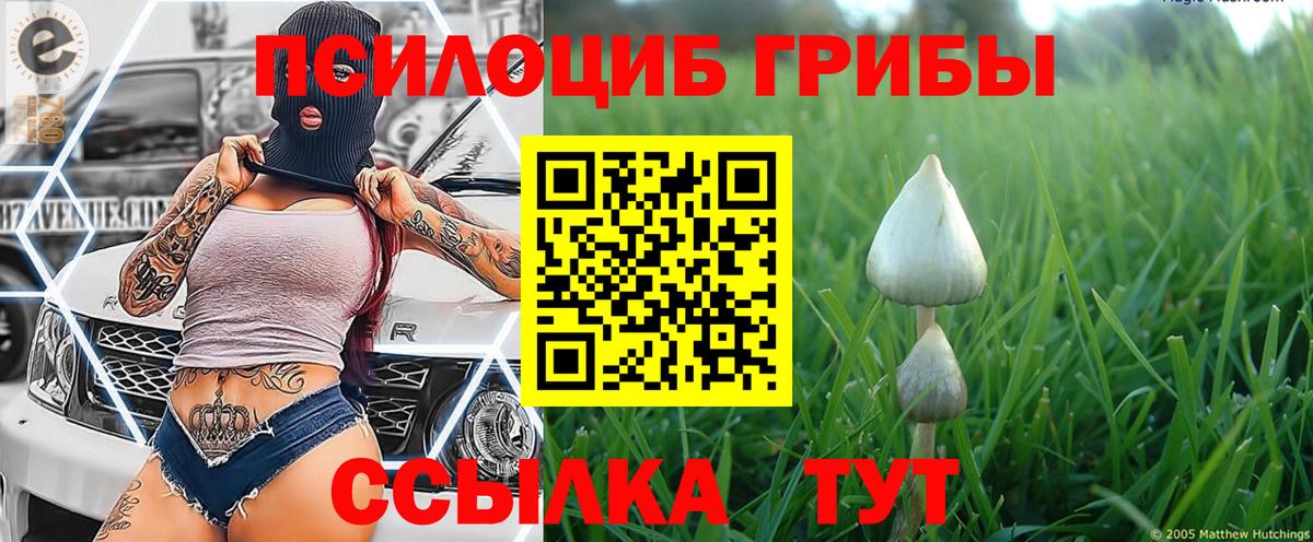 Псилоцибиновые грибы Psilocybine cubensis Семилуки