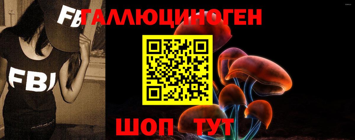 Псилоцибиновые грибы Psilocybe  Вход с VPN  Галлюциногенные грибы MAGIC MUSHROOMS  Семилуки 